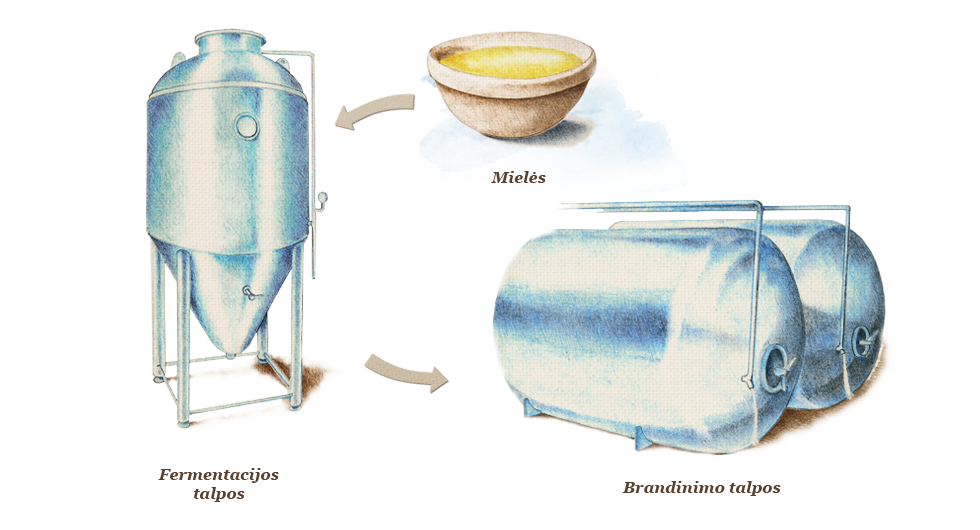 Alaus fermentacija